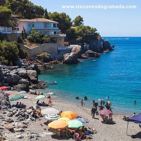 Buceo La Herradura - Photo 2