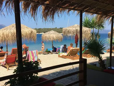 Jammin in Paradise - Photo 2