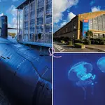 La Cité de la Mer