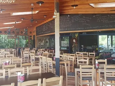 Melikokon - Photo 2