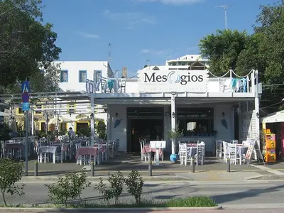 Mesogios - Photo 2