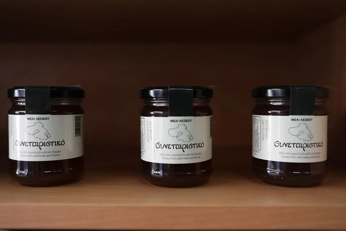 Honey and Salt - Photo 3