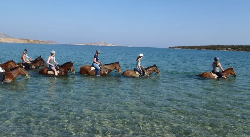 Kokou riding center - Photo 1