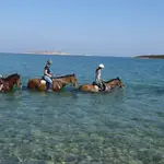Kokou riding center