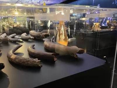 Museo Aeronáutico - Photo 3