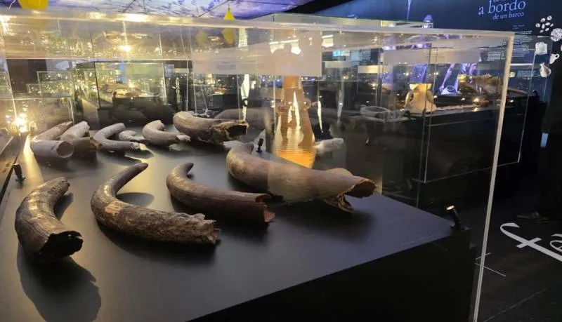 Museo Aeronáutico - Photo 3
