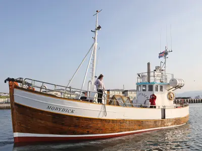 Moby Dick di Dario Travaglio - Photo 2