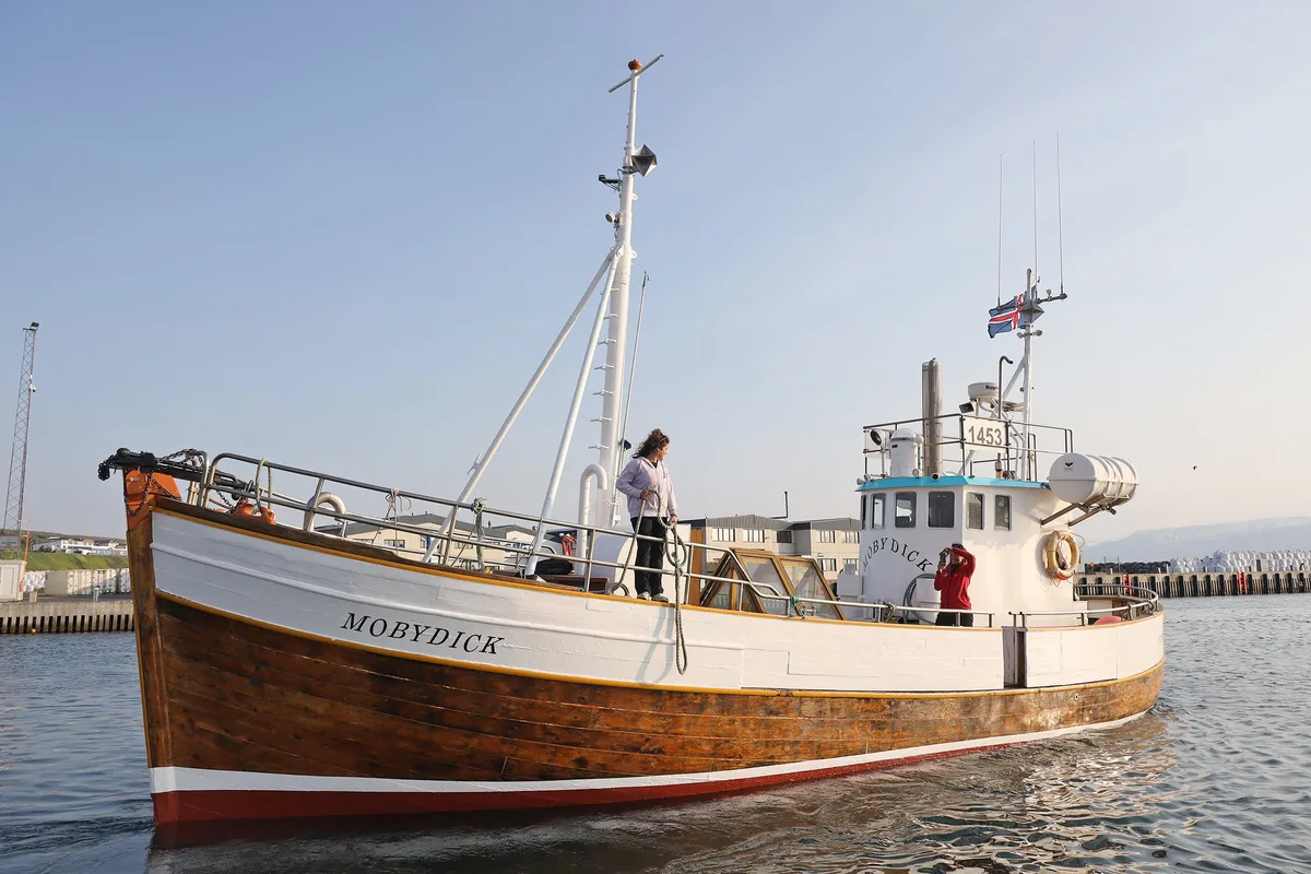 Moby Dick di Dario Travaglio - Photo 2