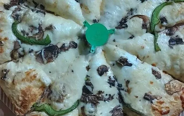 Pizza Fan - Photo 1