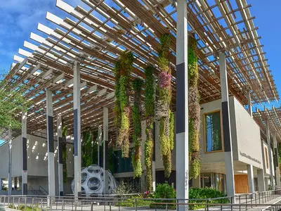 Pérez Art Museum Miami - Photo 5