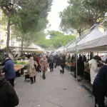 Mercato Ortofrutticolo Giornaliero