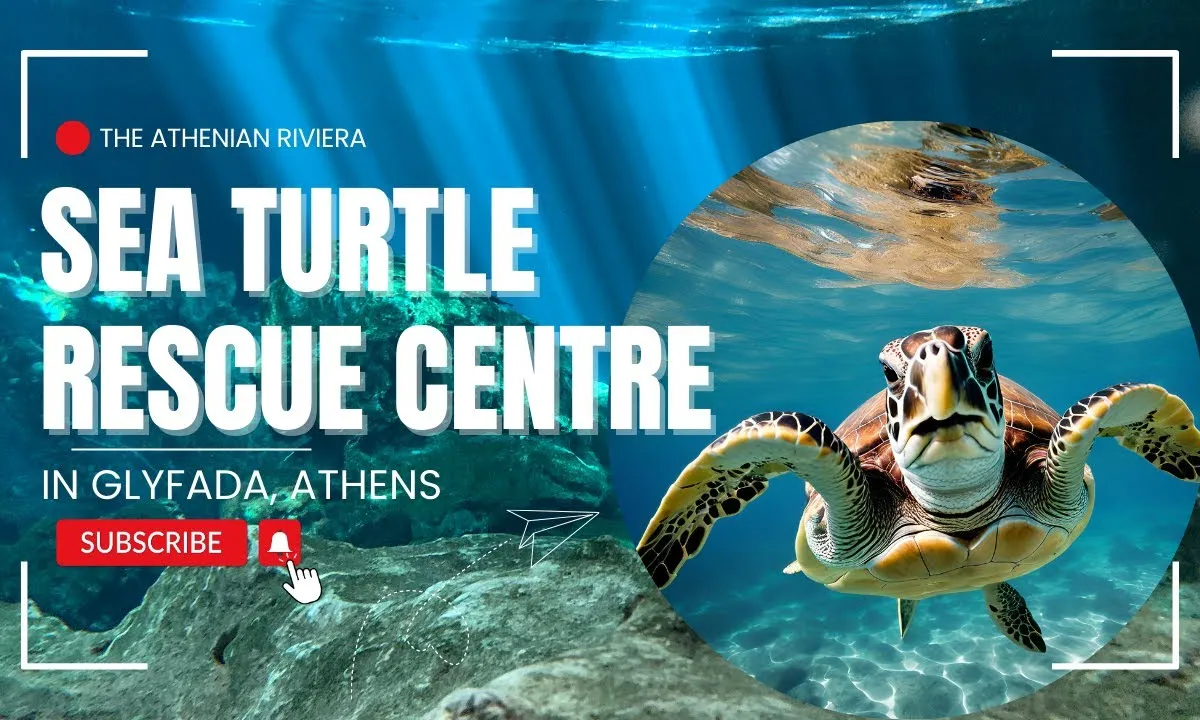 Sea-Turtle Rescue Centre - Main photo