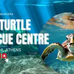 Sea-Turtle Rescue Centre