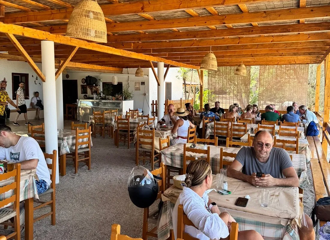 Zogeria - Main photo