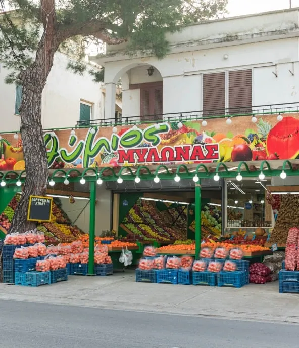 Thymios Mylonas - Photo 1