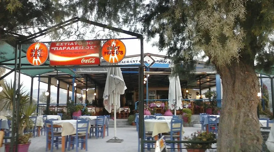 Paradise - Photo 2
