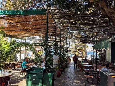 Flamingo Restaurant & Bar - Photo 2