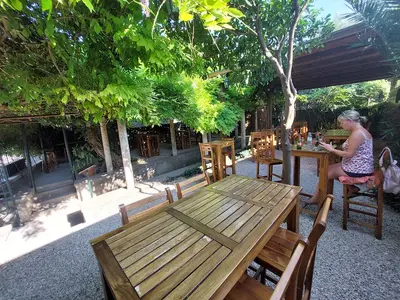 GreenGarden - Photo 3