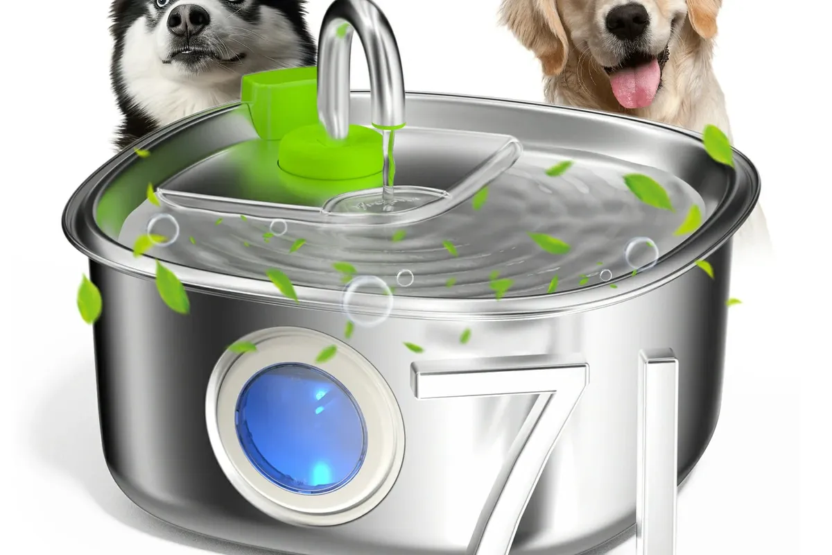 dog fountain - Main photo