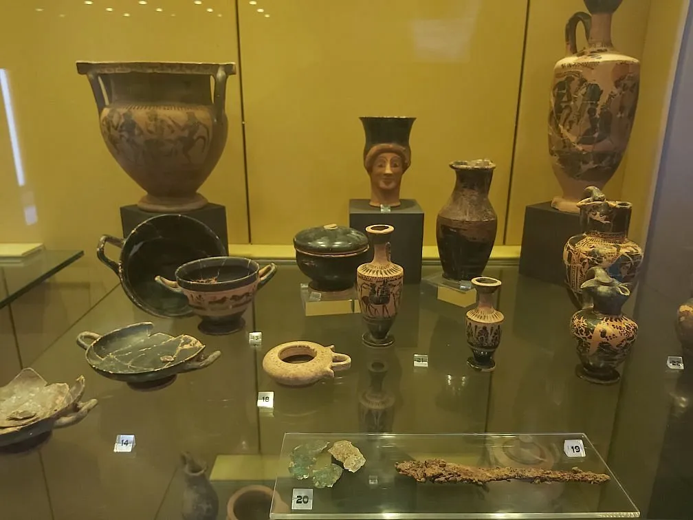 Museo Etnoantropologico e Naturalistico "Domenico Ryolo" - Photo 3