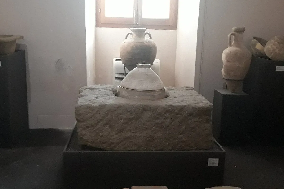 Museo Etnoantropologico e Naturalistico "Domenico Ryolo" - Photo 4