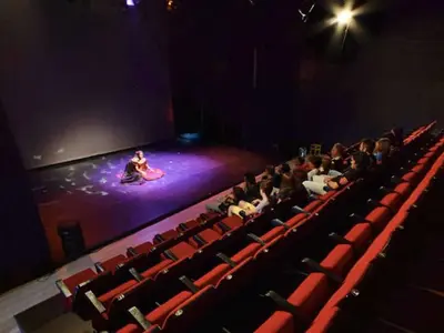 Sala Ártika - Photo 4