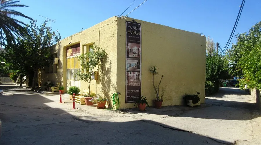 Paleiochora - Photo 2