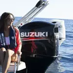 Shark Marine