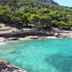 Crab Rock