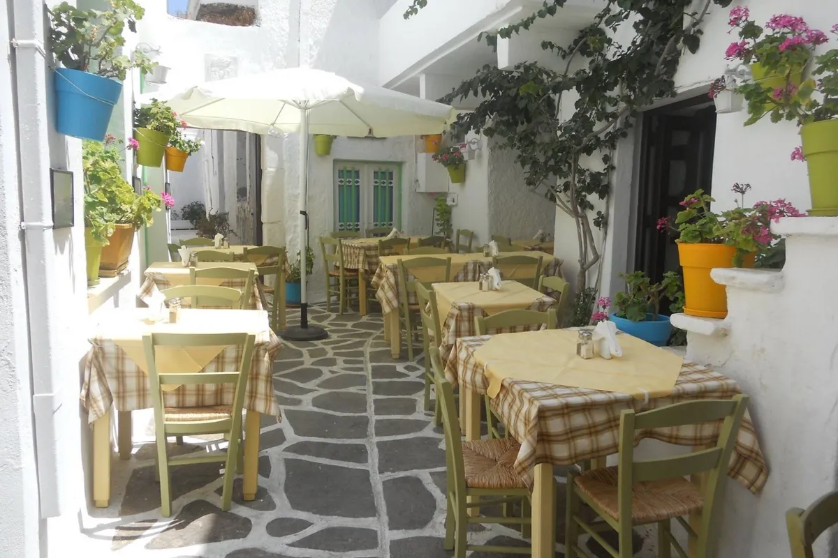 Vasilis - Photo 5