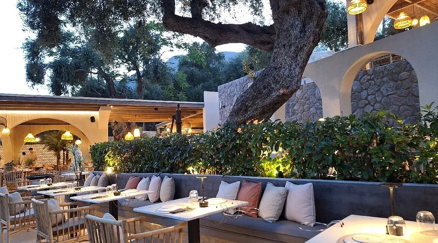 Oliva - Photo 1