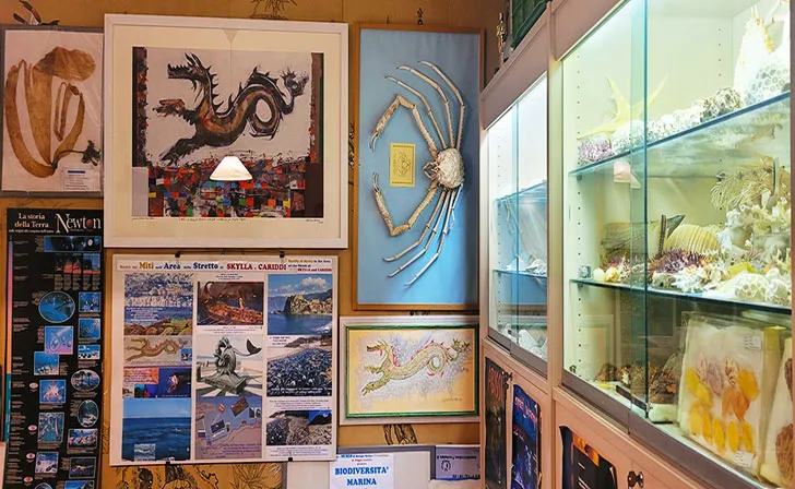 Museo di Biologia Marina e Paleontologia - Main photo