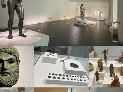 Museo di Biologia Marina e Paleontologia - Photo 2