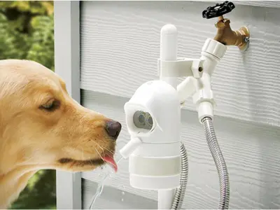 dog fountain - Photo 5
