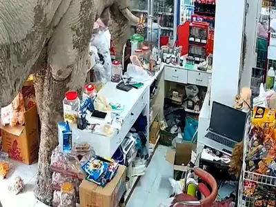 Super Market "ΓΙΑΝΝΗΣ" - Photo 3