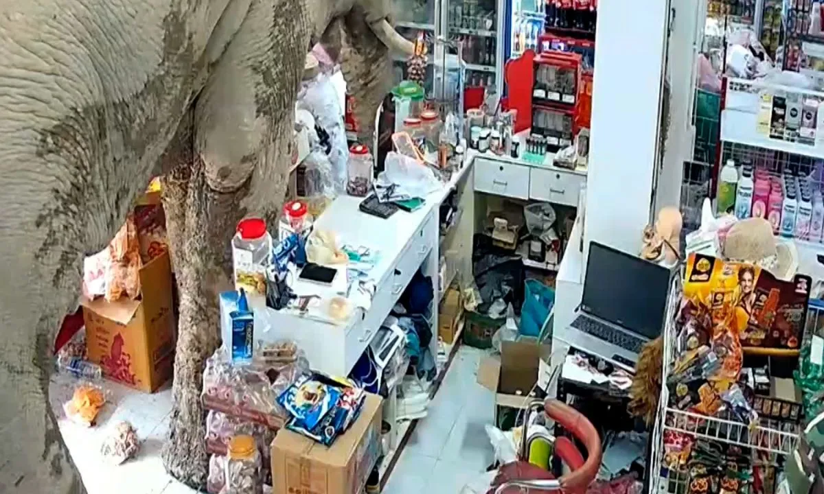 Super Market "ΓΙΑΝΝΗΣ" - Photo 3