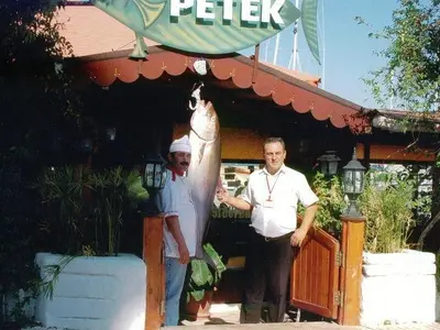 Petek - Photo 2