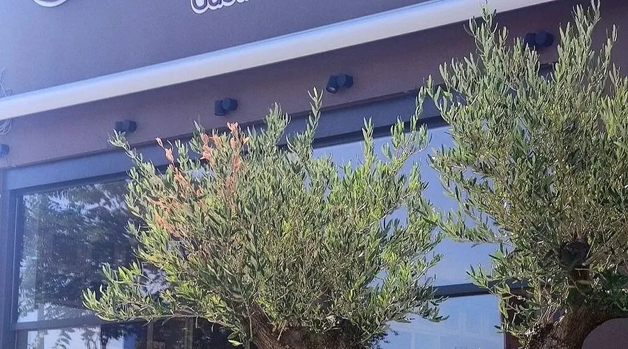 Chrysafi - Photo 2