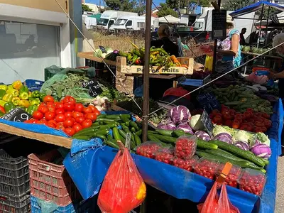 Summer Stores Mini Market - Photo 5