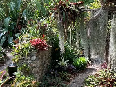 Botanical Gardens Service Station - Photo 1