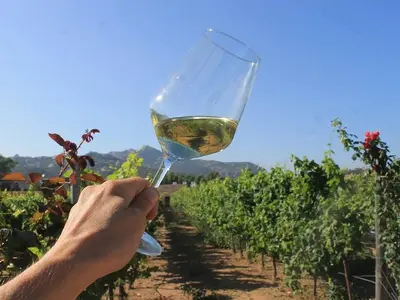 Wine & Food Boutique - Photo 2