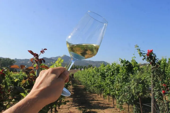 Wine & Food Boutique - Photo 2