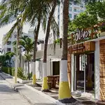 El Olivo Green Market