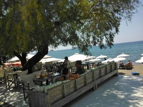 Eden - Photo 3