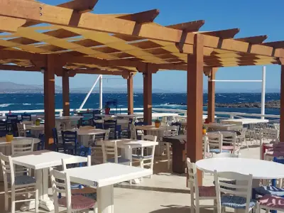 Coffee Island - Photo 3