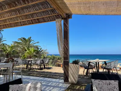Beach Bar - Photo 4