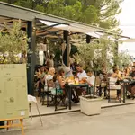 palachinka club