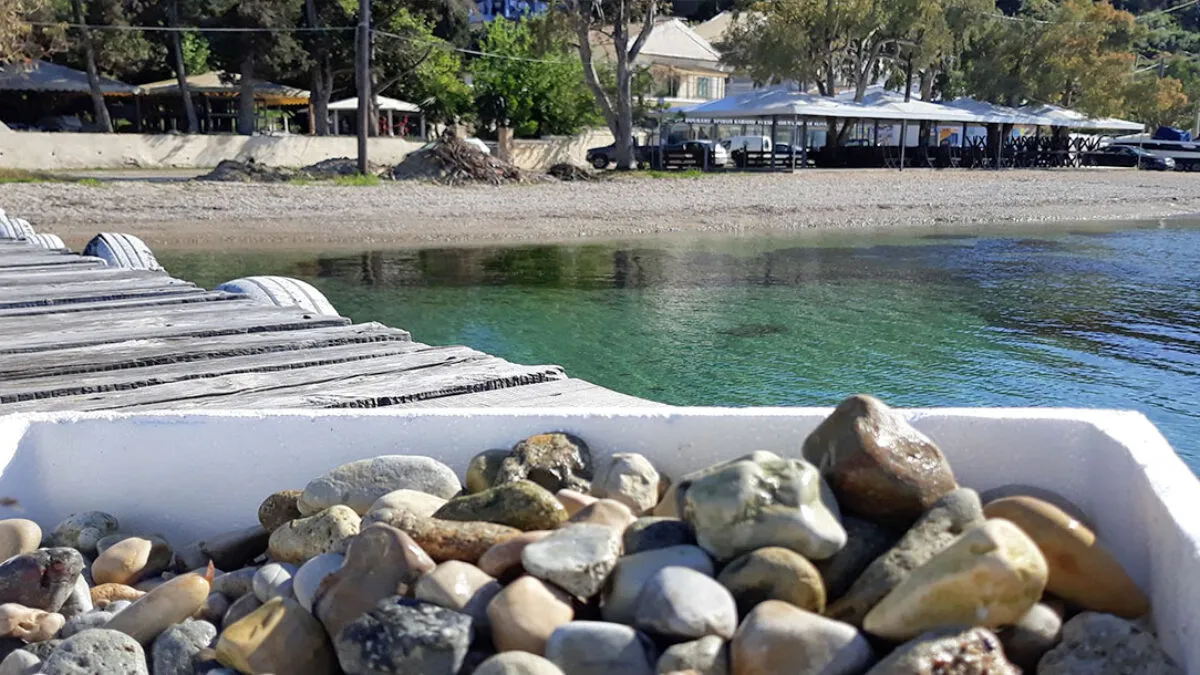 Spyros - Photo 5