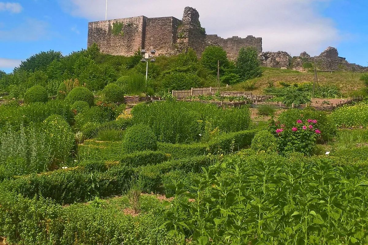 Le Château - Main photo