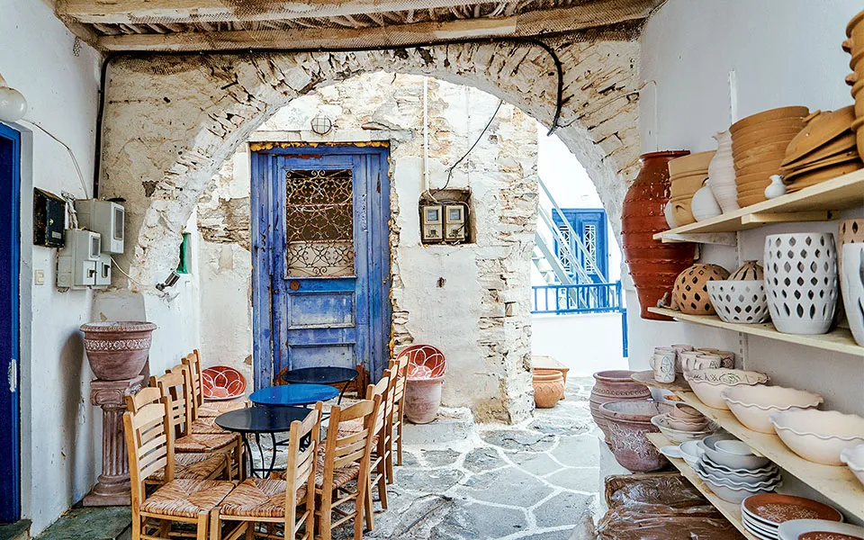 Martinakia - Photo 4